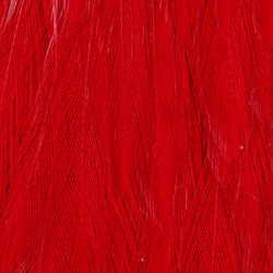 Wapsi Chinese Streamer Rooster Neck