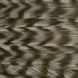 Ewing Deceiver Patch Dyed