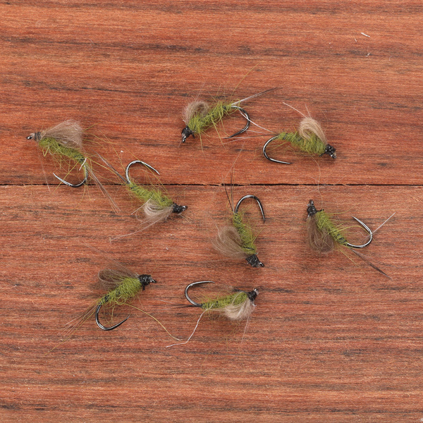 Olive CDC Emerging Nymph