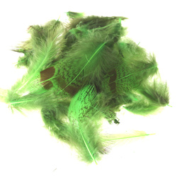 Hareline Hungarian Partridge Feathers