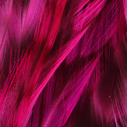 FFGene Chenchilla Cock Saddles