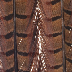 FFGene Pheasant Center Tail