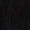 Bleeding Black
