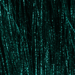 Flashfibrer H2O Gliss N Glow
