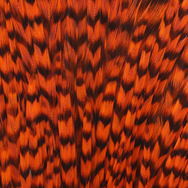 Ewing Grizzly Whole Capes