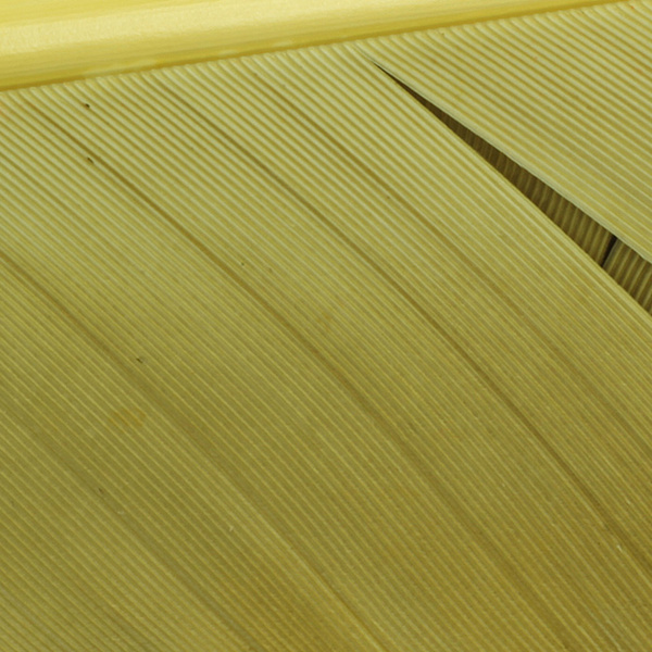 Hareline Turkey Biot Quills