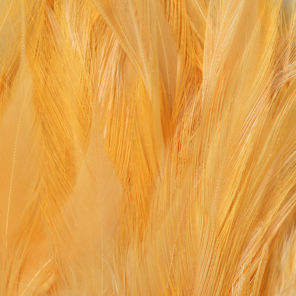 FFGene Strung Saddles Hackle