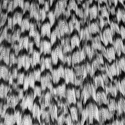 Ewing Grizzly Half Capes