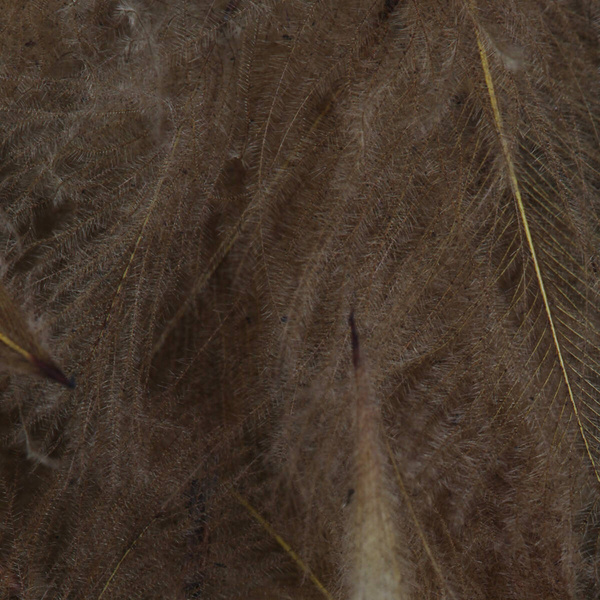 FFGene CDC Color Jambo Pack - 1 gr