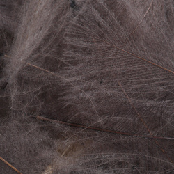 FFGene CDC Oxyd Jambo Pack - 1 gr