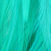 Whitlock.s Turquoise
