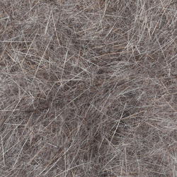 FFGene Rabbit Dubbing