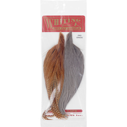 Whiting Combo Starter