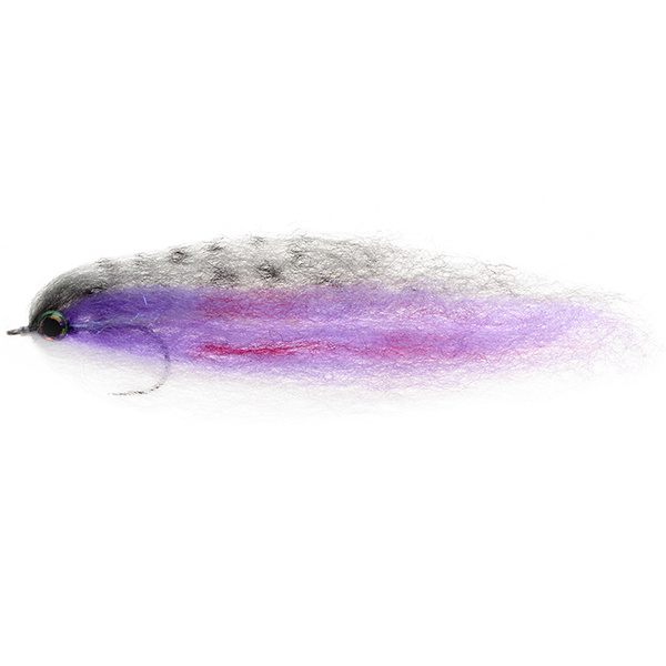 Rainbow Trout Light Purple