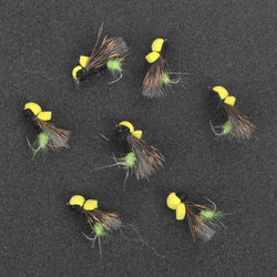 Green Tip Fam and Hair Caddis