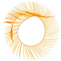 FFGene husacie bioty