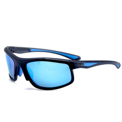 Negnon Chamaeleon Polarized Fishing Glasses