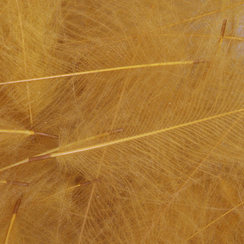 FFGene CDC Feathers color 1 gr