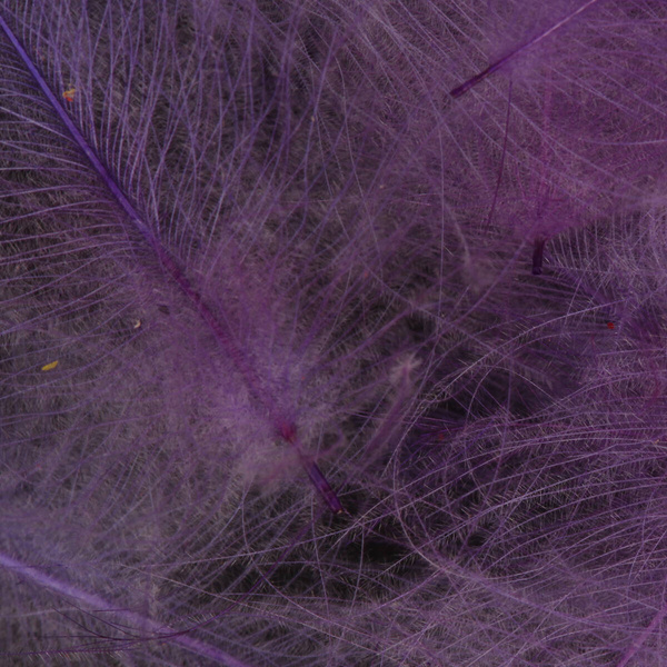 FFGene CDC Color Jambo Pack - 1 gr