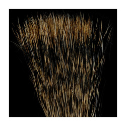 FFGene Tinted Micro Tail