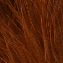 FFGene Wooly Bugger peresa marabu Blood Quill (7-10 cm)