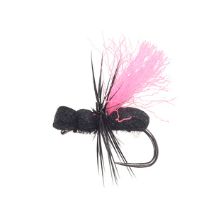 Fl Pink Indicator Black Ant