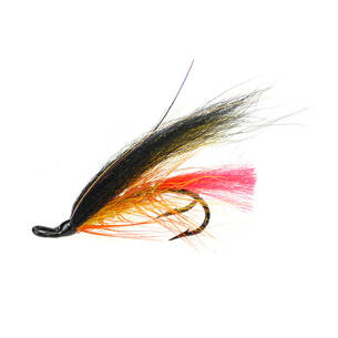 Temple Dog Black/Yellow Double Salmon