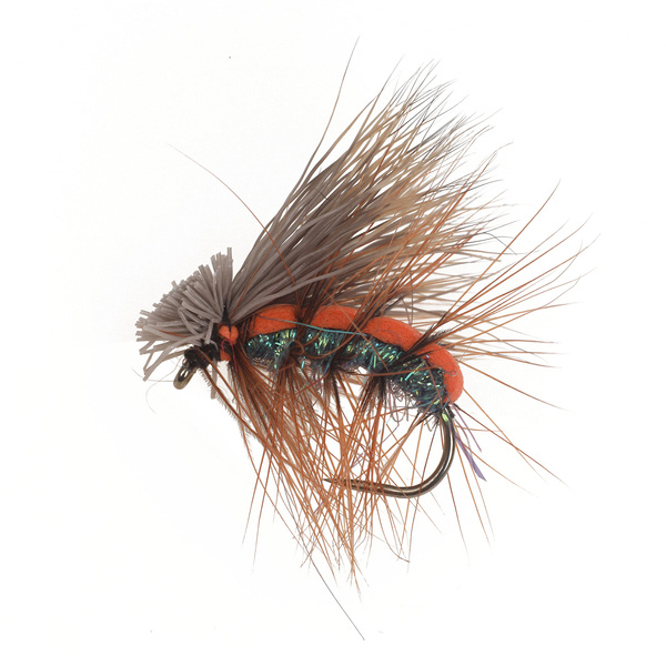 Elk Super Swim Fam Caddis