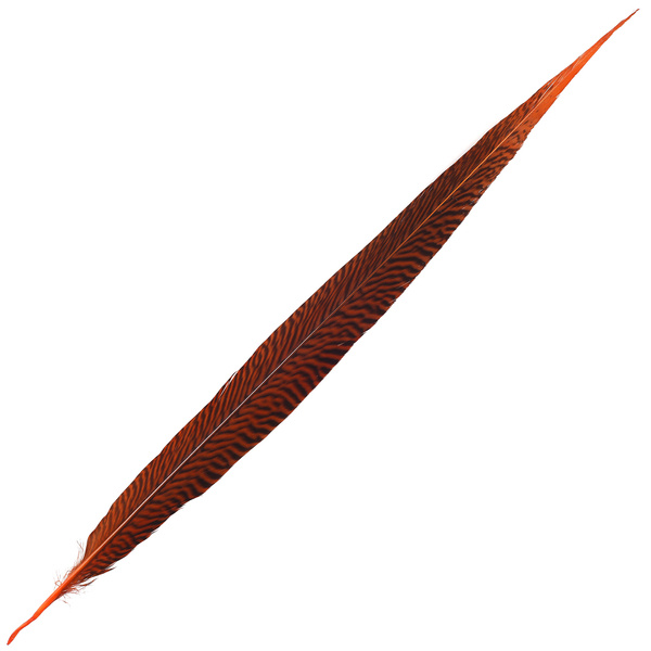 FFgene Golden Pheasant Tail