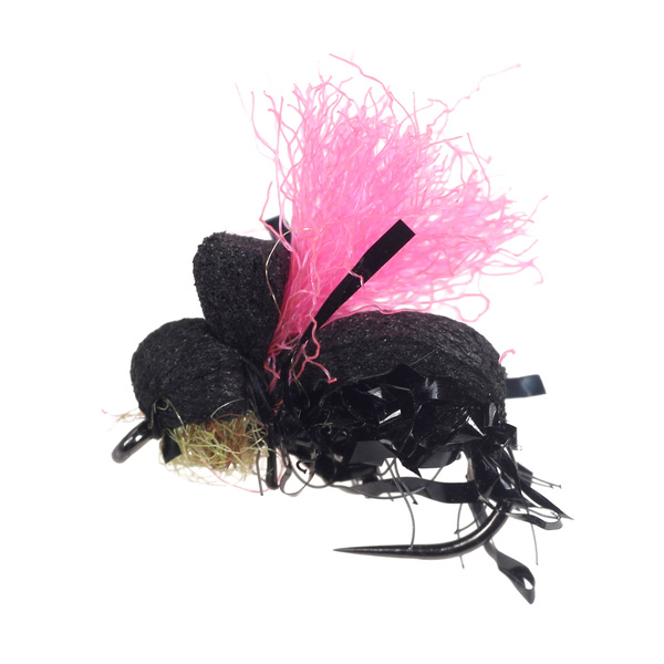 Pink Indicator Black Beetle