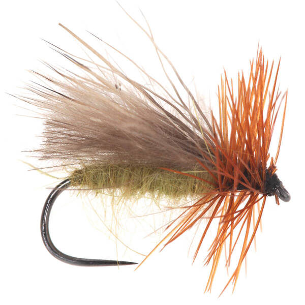 CDC Elk Sedge Olive