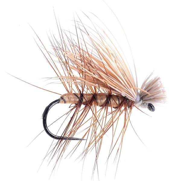 Elk Sedge Tan