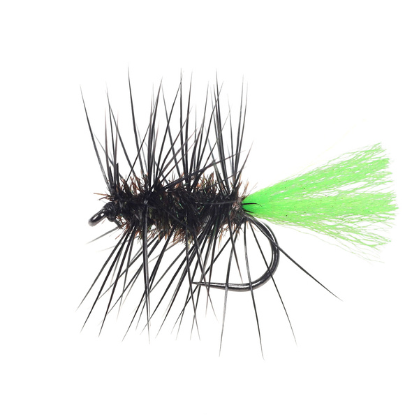 Black Gnat Fl green Tag