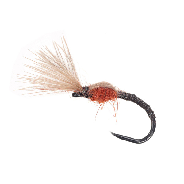 CDC Orange Throax Emerger