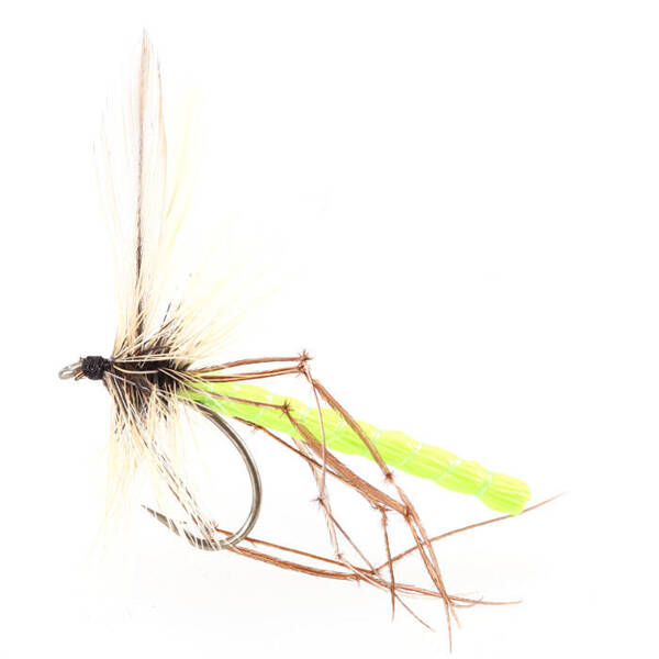 Dads Daddy long Legs Chartreuse