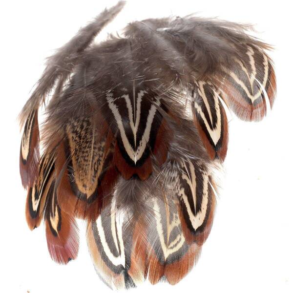 FFGene Pheasant Shoulder Feathers (Church Windows)