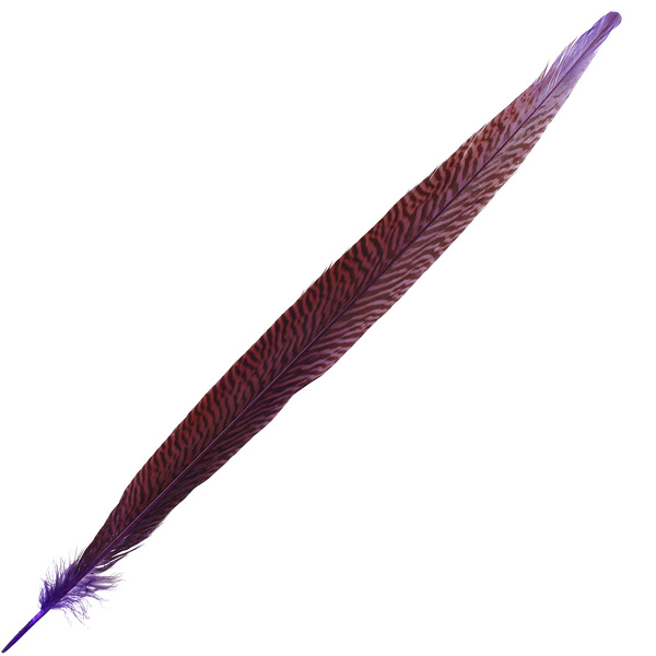 FFgene Golden Pheasant Tail