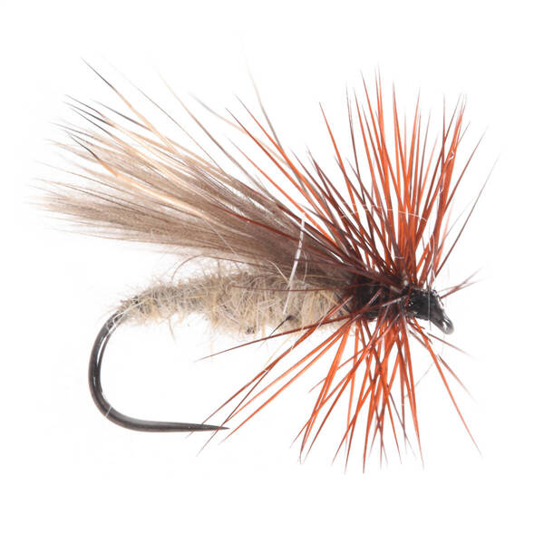 CDC Elk Sedge Tan