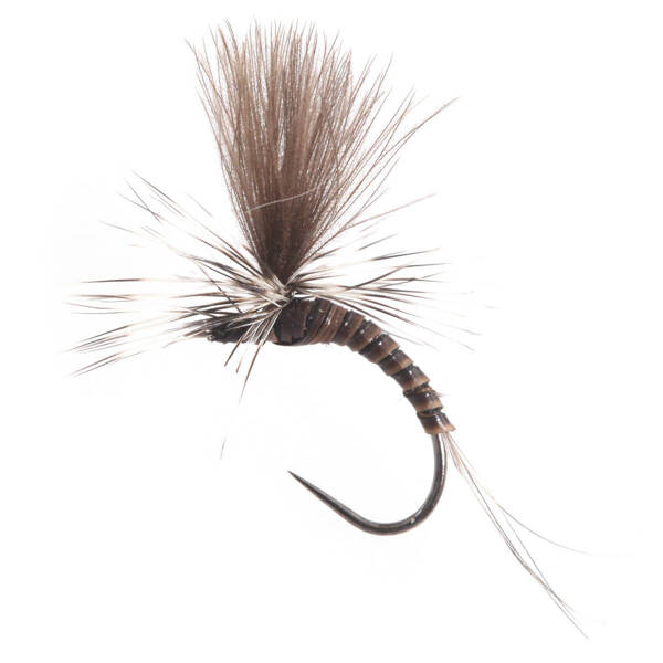 Emerger Parachute Quill Body CDC Natural