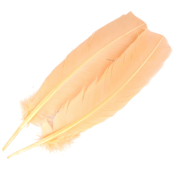 FFGene Turkey Wing Quill