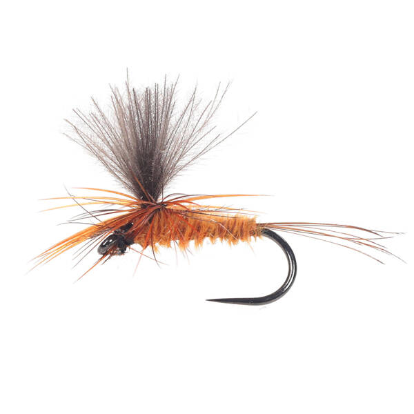 CDC Parachute Rusty Brown