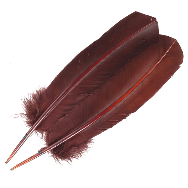 FFGene Turkey Wing Quill