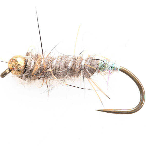 Tungsten BH Caddis Case Nymph