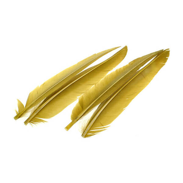 Wapsi Duck Quill. 2 Pair