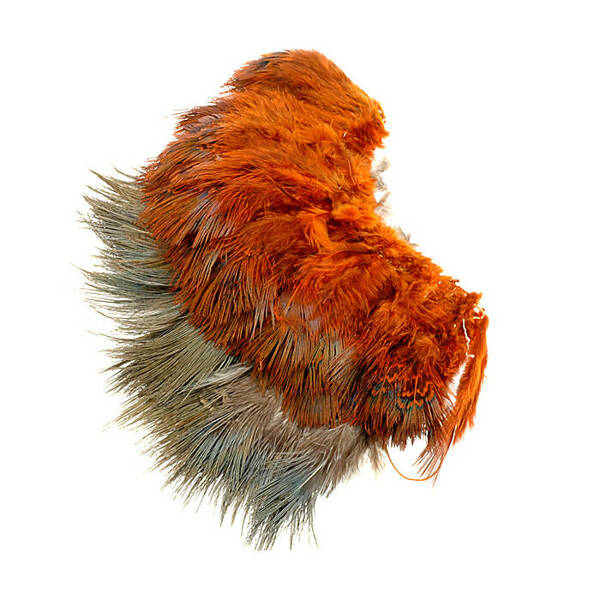 Wapsi Pheasenat Ringneck Hackle