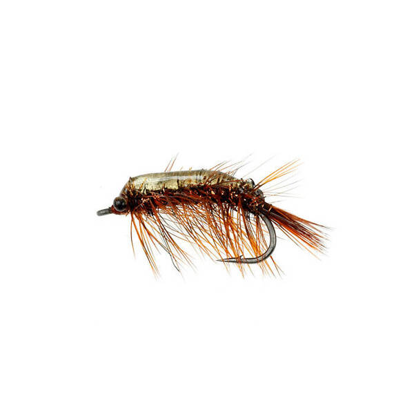 Locusta Dk. Brown (413)