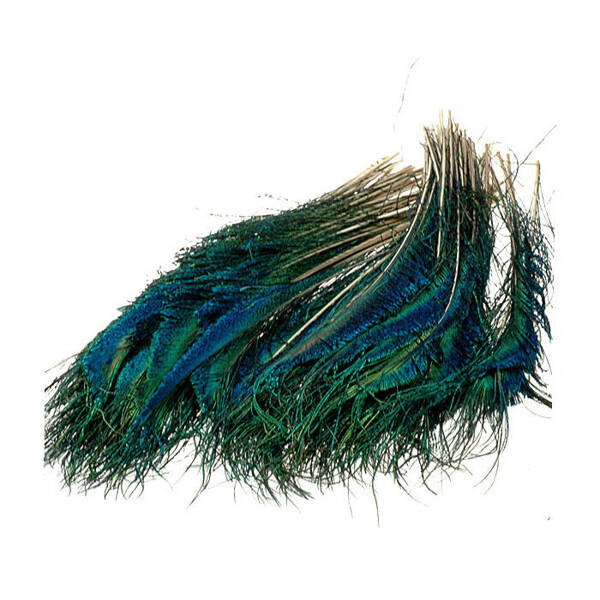 FFGene Peacock sword tails