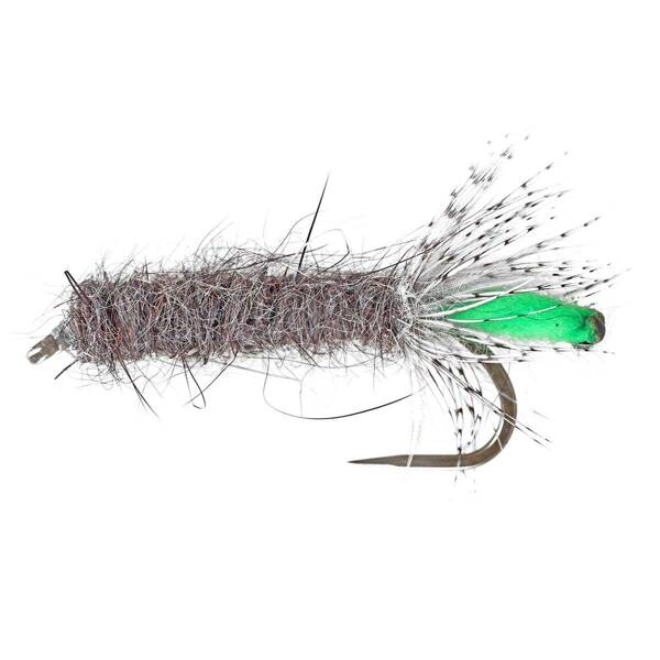 PL Caddis Case cabeza verde Ninfa