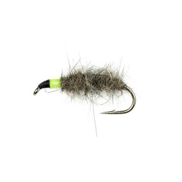 PL Caddis Case green Ninfa Natural (311)