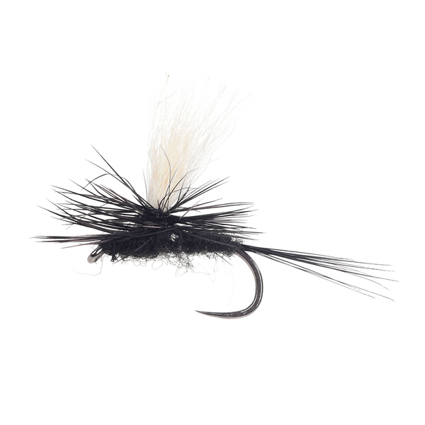 Parachute Calf Wing Black